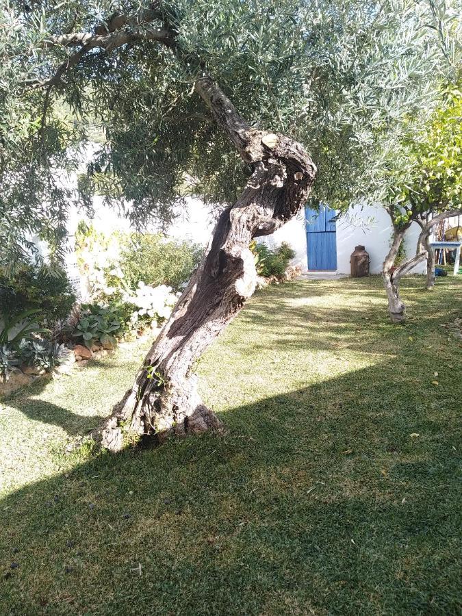 Villa Pitillas Algodonales Eksteriør bilde